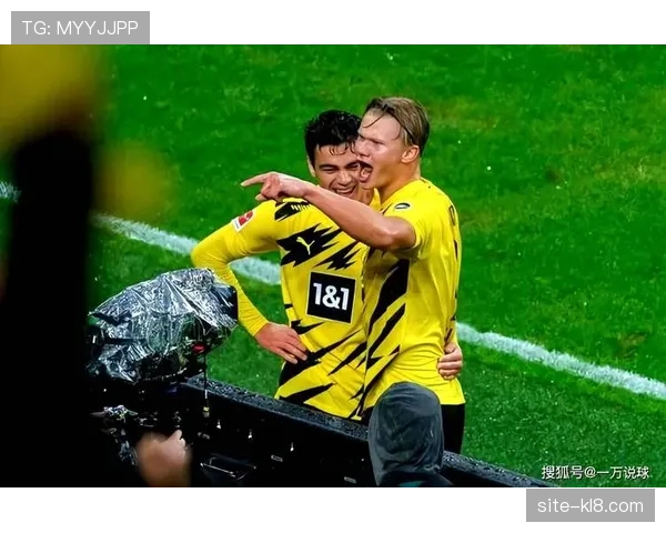 霍芬海姆与勒沃库森同积二十六分，欧战资格竞争陷入胶着